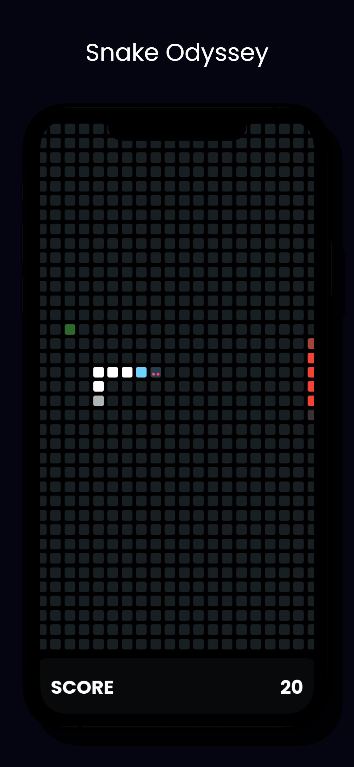 project_image